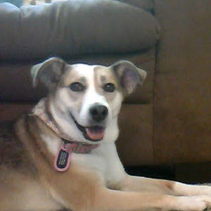 Meet your Posher, Avery